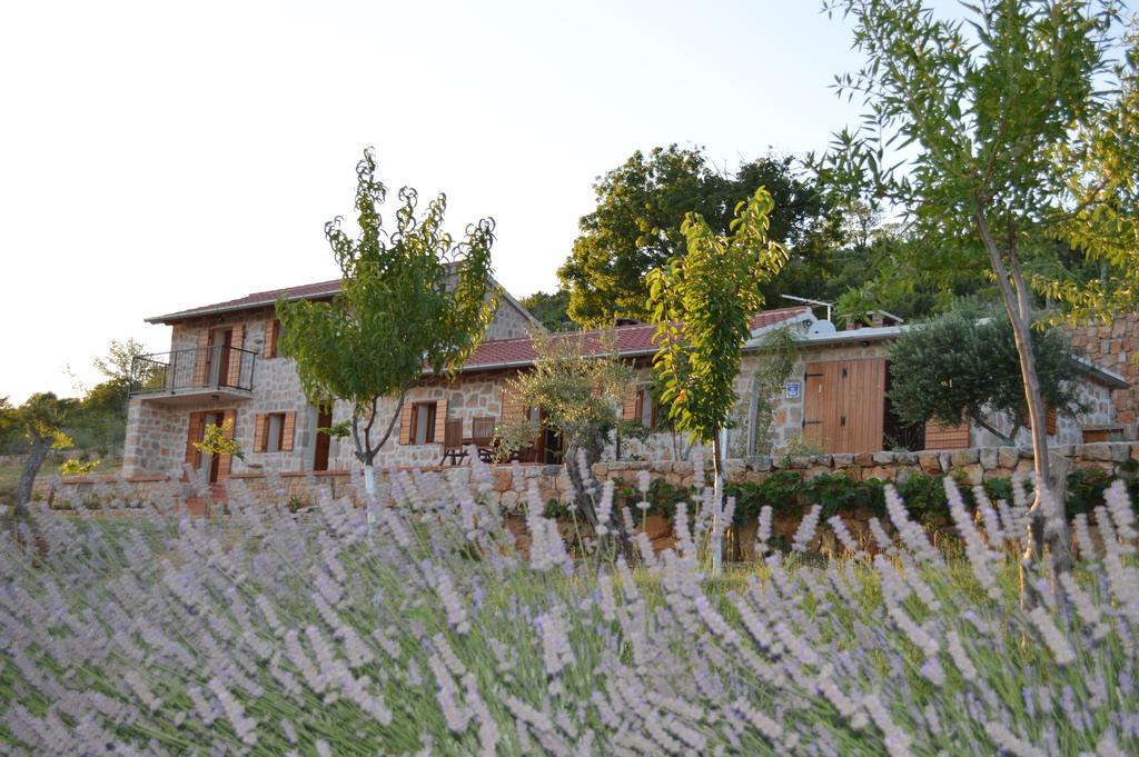 Villa Mara - Secluded House With Breathtaking View- Seline, Starigrad Paklenica Exterior foto